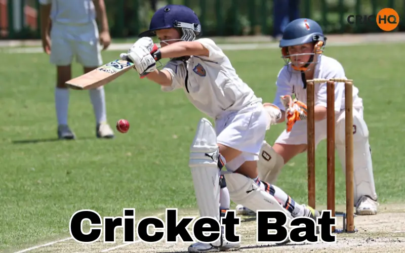 cricket body