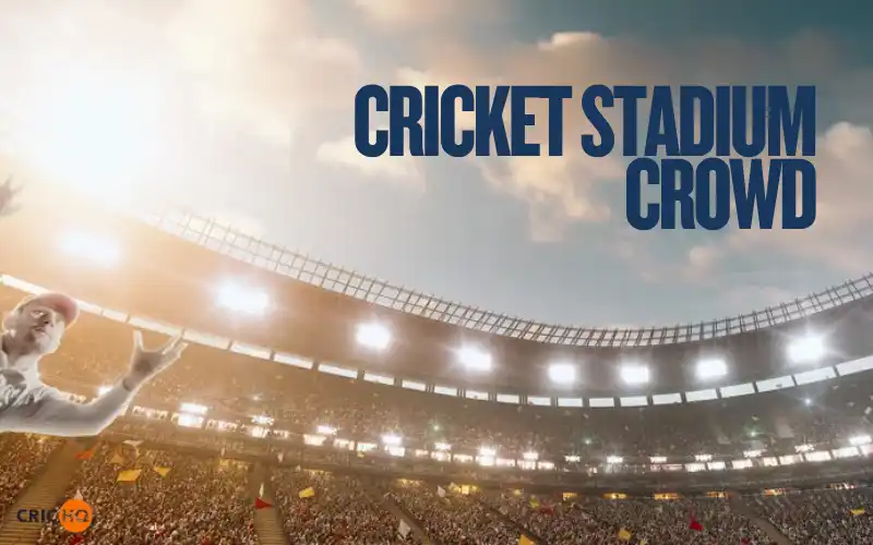 Cricket Stadium Crowd