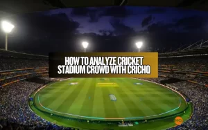 Cricket Stadium Crowd