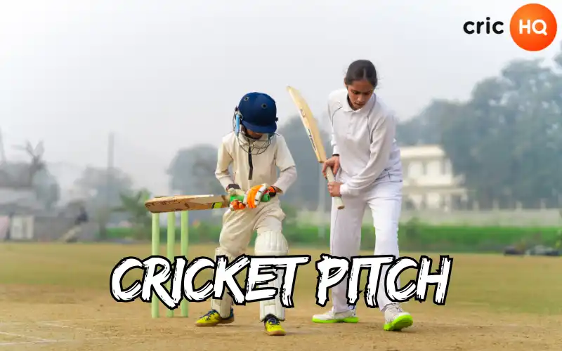 cricket pitch