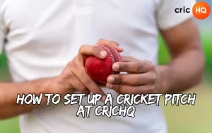 cricket pitch