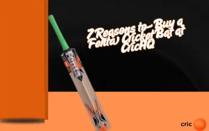 fenta cricket bat
