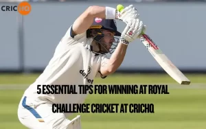 royal challenge cricket