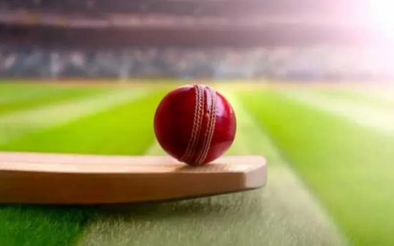 icc cricket world cup at crichq body image