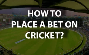 icc cricket world cup at crichq featured image