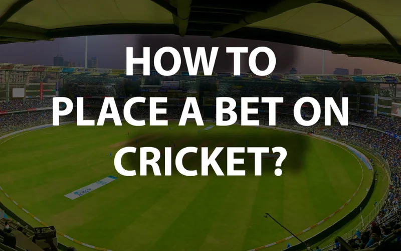 icc cricket world cup at crichq featured image